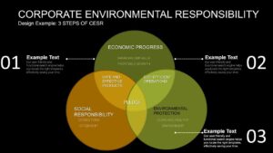 Charting the Course - Key Strategies and Future Directions in Corporate Environmental Responsibility